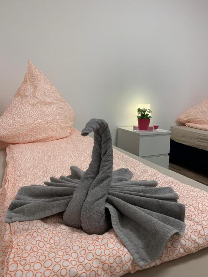 Lovely Share Apartment Aachener Weiher Кёльн Экстерьер фото